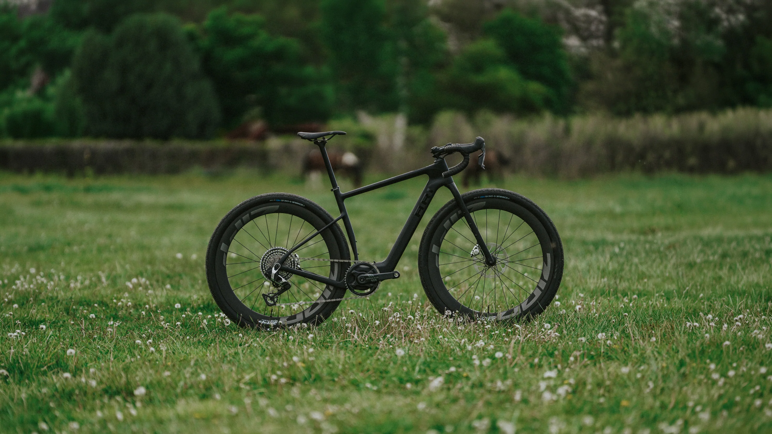 E-Gravel (Pre-Order) - Image 5